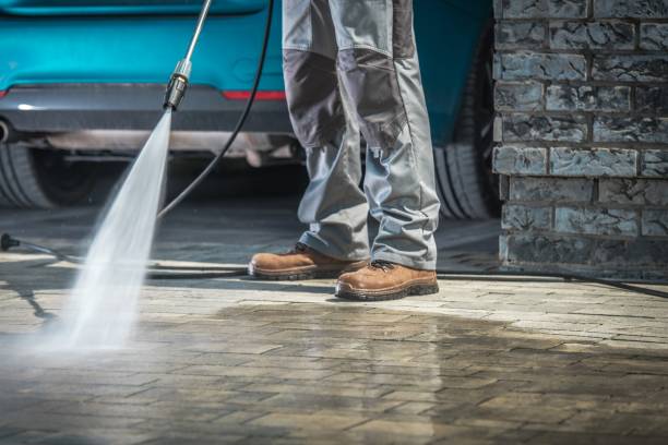 Best Spring Cleaning  in Citrus Park, FL