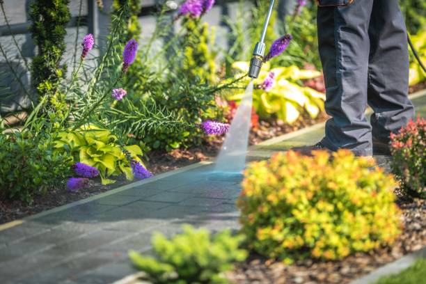 Trusted Citrus Park, FL Pressure Washing Experts