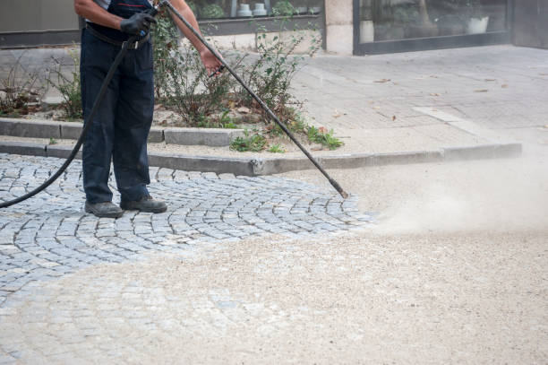 Best Fence Cleaning  in Citrus Park, FL